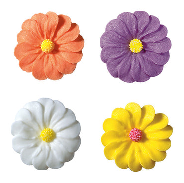 Margerith colorful