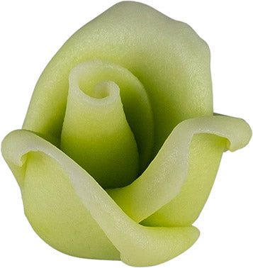 Roses pastel green medium