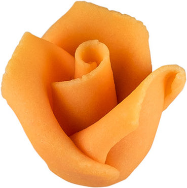 Roses pastel orange moyen