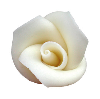 Rose moyenne blanche