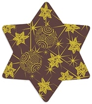 Christmas star Starlight